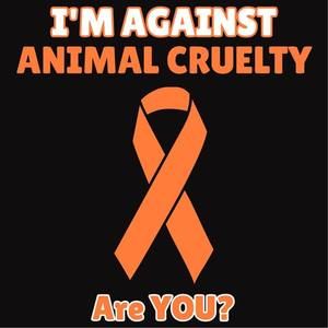 Meet your Posher, Mckenna